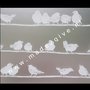 Raamfolie Vogels 45cm x 2meter filippa 216-0020