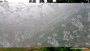 Raamfolie Natuur_9