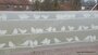 Raamfolie Vogels 45cm x 2meter_9